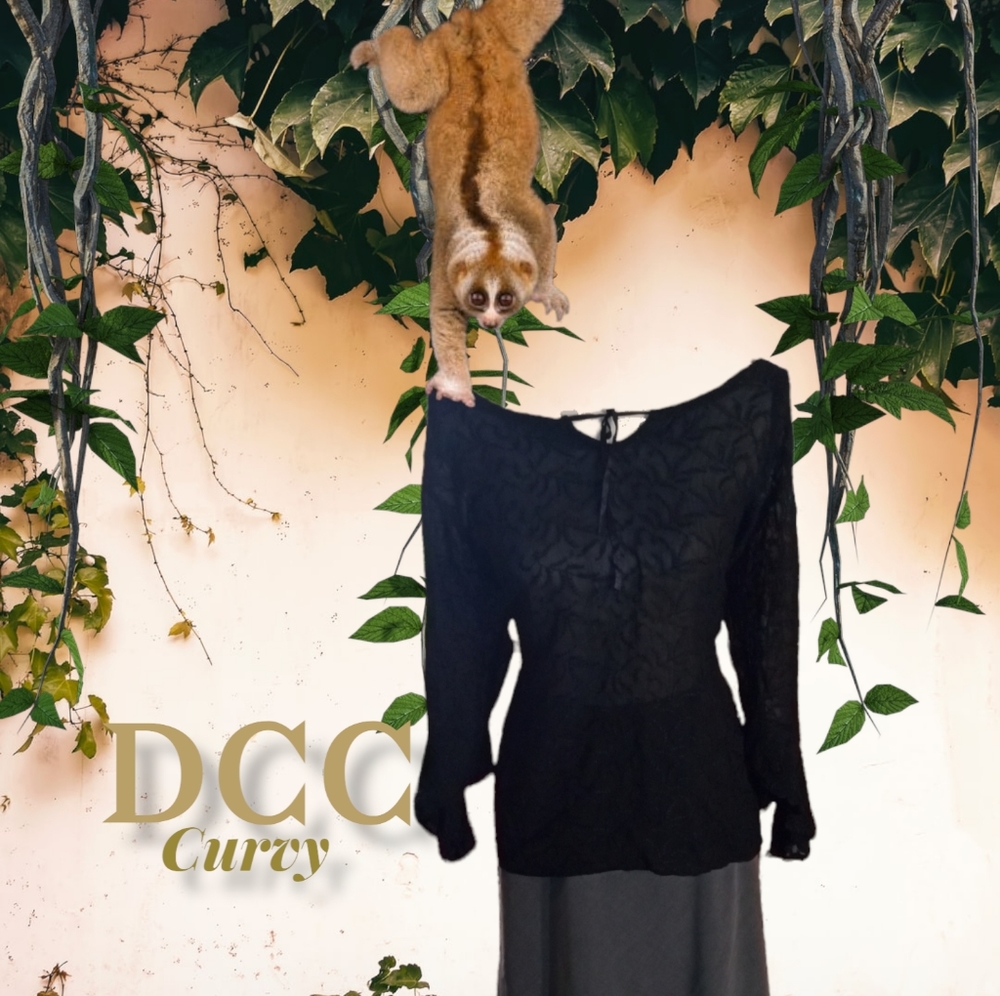 DCC Sheer Black w\ Black Embroidery Bell Sleeve  Peasant Blouse